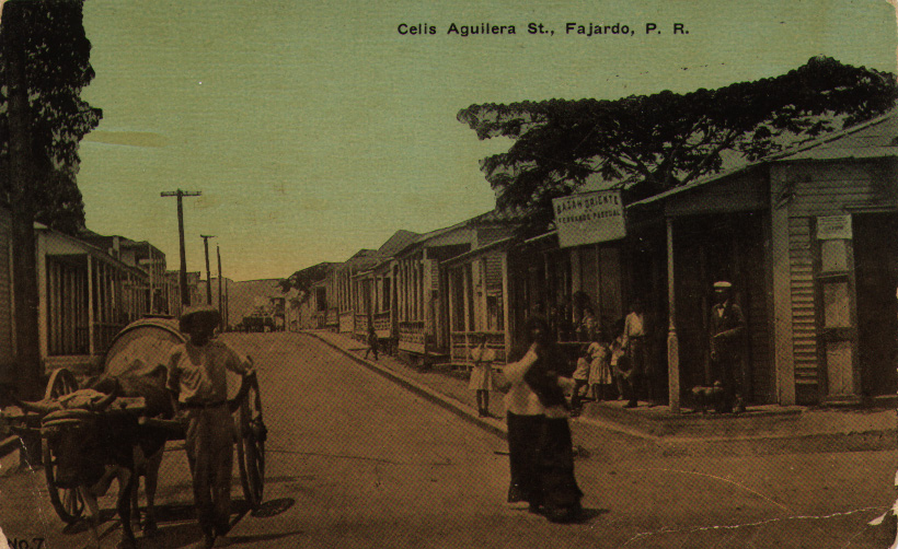 Bazar Oriente de Don Fernando Pascual, Calle Celis Aguilera, Fajardo, PR